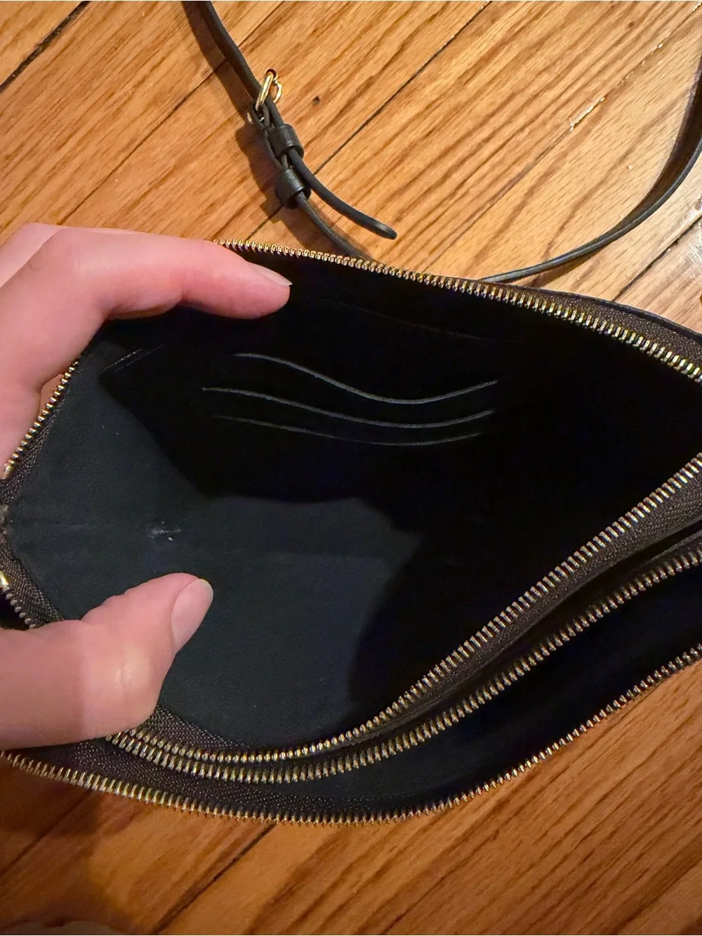 Louis Vuitton Double Zip Pochette
